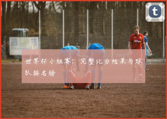 世界杯小组赛：完整比分结果与球队排名榜