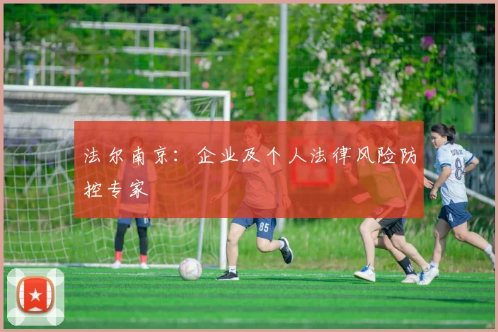 法尔南京:企业及个人法律风险防控专家