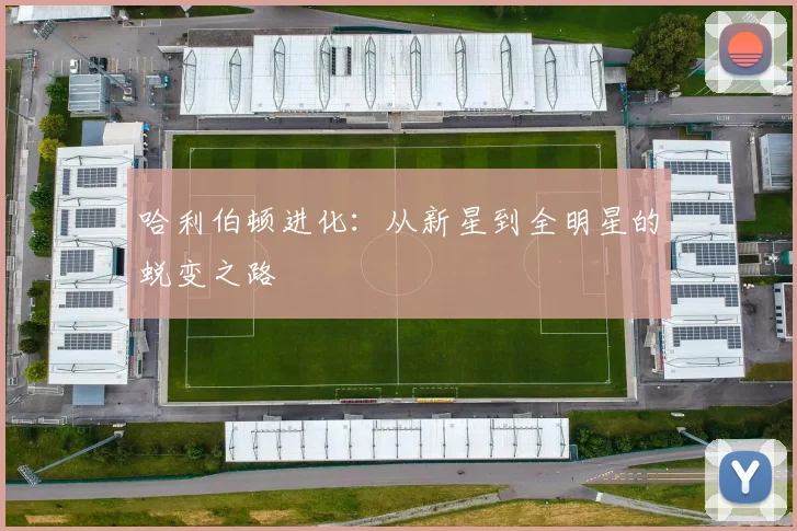 哈利伯顿进化：从新星到全明星的蜕变之路