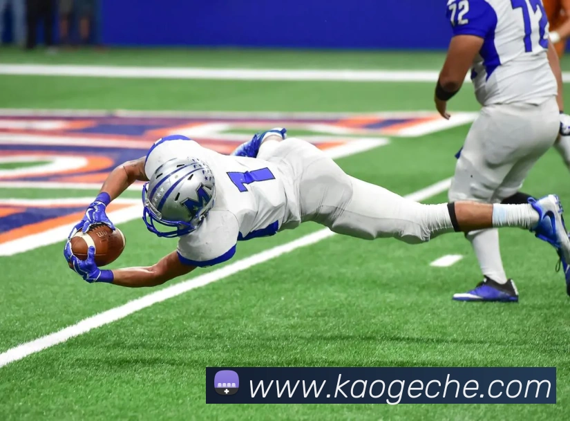 奖项证书